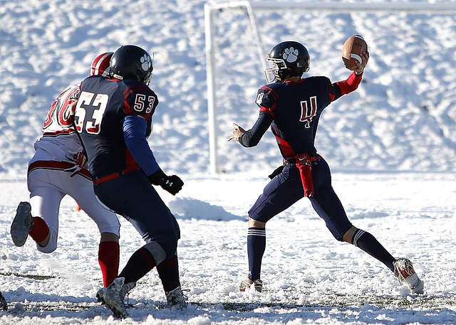 的最大区别 的最大区别