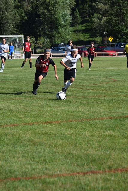 老将与新秀 老将与新秀