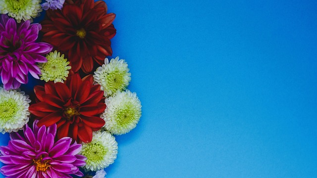 的历史长河 的历史长河