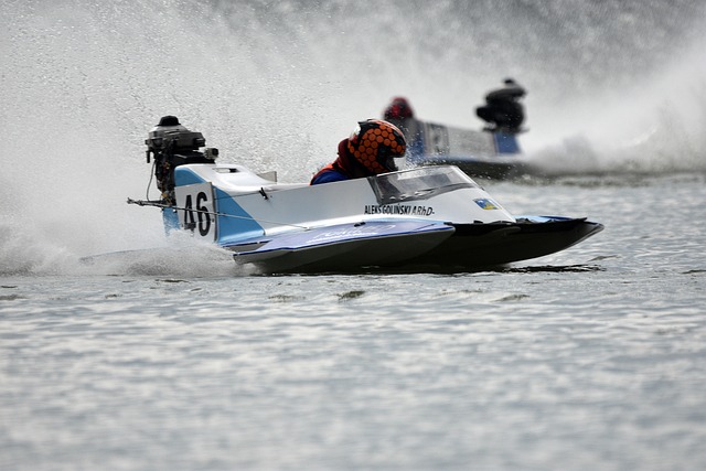 保加利亚的 保加利亚的