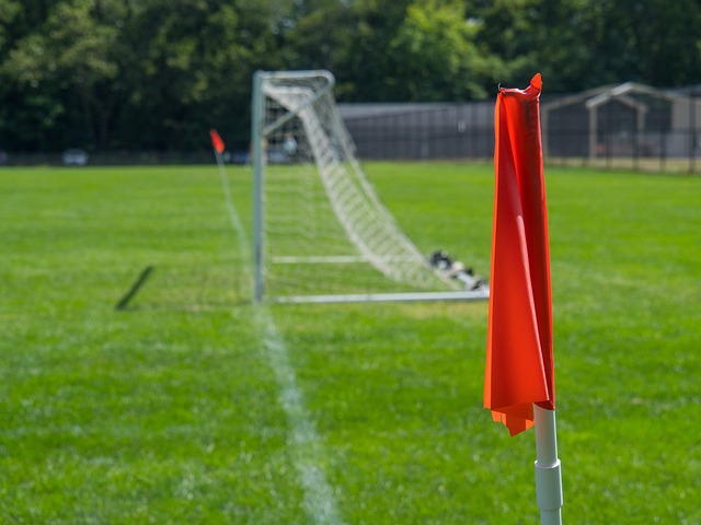 样不可小觑 样不可小觑