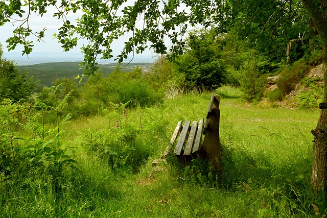 两人都拒绝 两人都拒绝