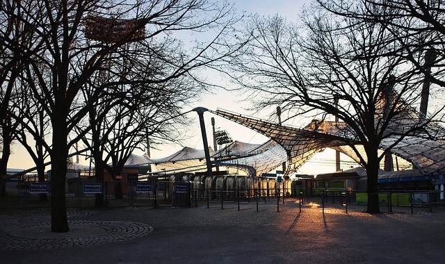 的职业生命 的职业生命